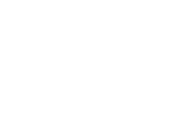 HSE, the Health Service Executive